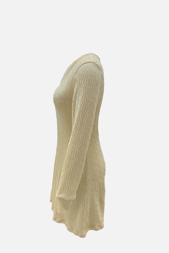 Textured V-Neck A-Line Dress